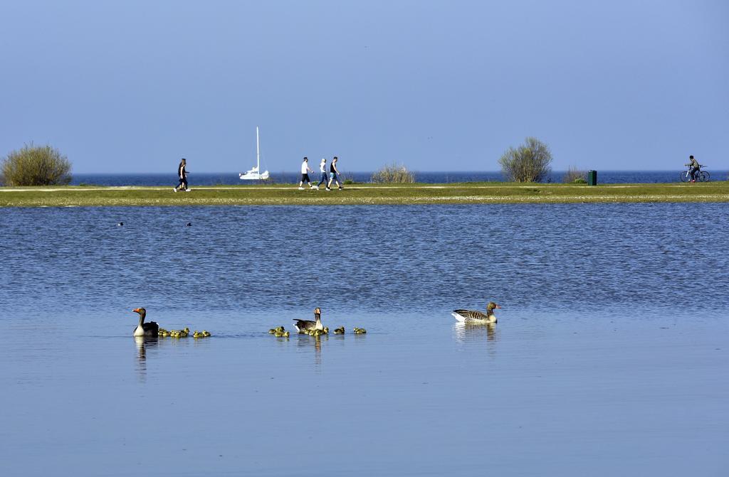 Ijsselhof Villa Type Medemblik 6 안데이크 외부 사진